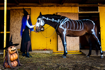 Image showing A girl dressed as a witch took a horse out of a corral with a skeleton painted in white paint