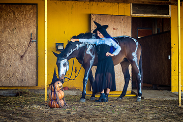 Image showing A horse is sniffing an impromptu figurine of pumpkins, a girl dressed as a witch is standing nearby and smiling