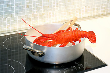 Image showing Lobster