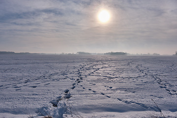 Image showing Winter landscape with animal track