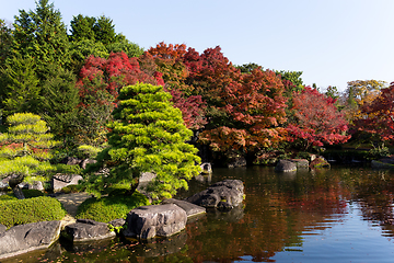 Image showing Japanese garden with autumn scene