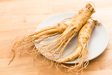 Image showing Fresh Ginseng on plate