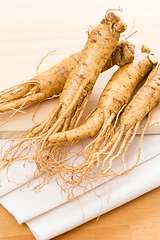 Image showing Korean Fresh Ginseng 