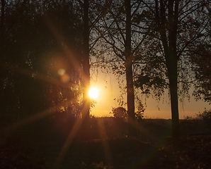 Image showing Sunset, autumn