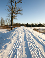 Image showing Road in the winter season