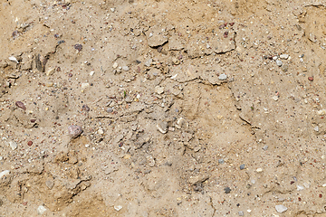 Image showing Sand Texture