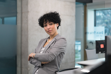 Image showing Portrait of successful female software developer