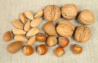 Image showing Nuts variety