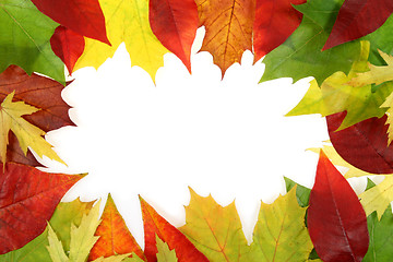 Image showing Autumn leaves design