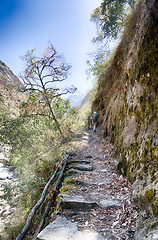 Image showing Nepal trekking in Langtang valley