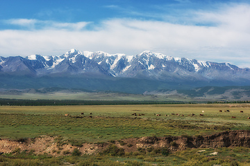 Image showing Panorama of Altai mountains with river