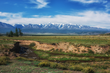 Image showing Panorama of Altai mountains with river