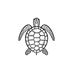 Image showing Turtle hand drawn sketch icon.