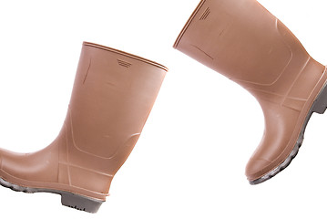 Image showing Rubber Boots, Walking