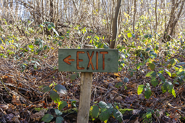 Image showing Painted wooden exit sign points left in woodland