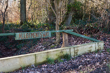 Image showing Carved wooden sign for Allotments Way in a wood