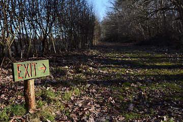 Image showing Wooden exit sign points down long woodland path