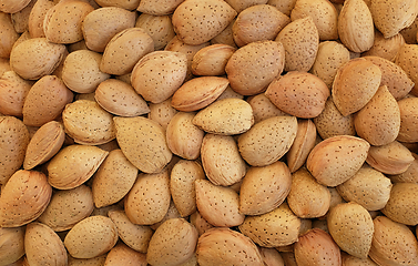 Image showing Whole almonds in shells background