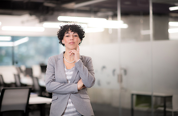 Image showing Portrait of successful female software developer