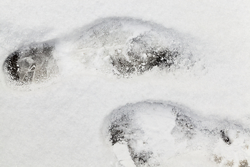 Image showing Snow drifts in winter