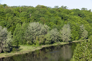 Image showing river and deciduous trees