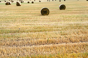 Image showing stack of straw