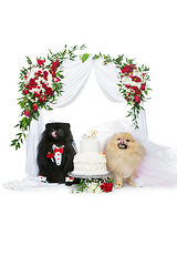 Image showing dog wedding couple under flower arch