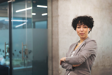 Image showing Portrait of successful female software developer