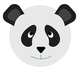 Image showing Face of a cute panda vector or color illustration