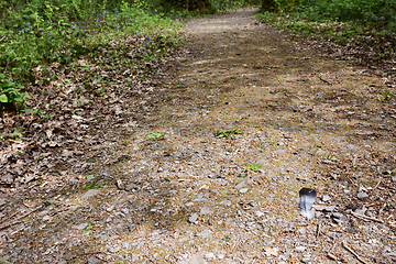 Image showing Wood pigeon feather lies on a wide stony path in woodland