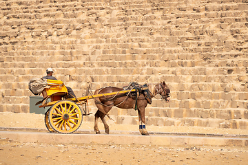 Image showing horse driver at the pyramids of Giza Cairo Egypt