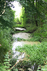 Image showing Tümpel  pond 