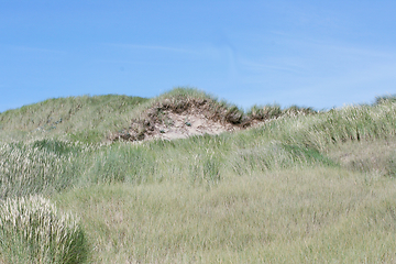 Image showing Dünen Dunes 