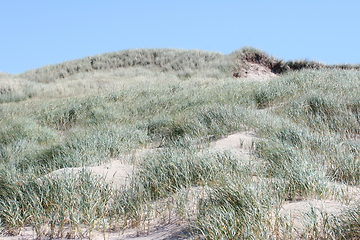 Image showing Dünen Dunes 