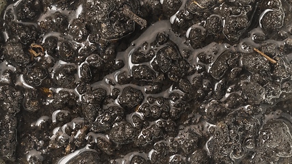 Image showing Wet soil undulating closeup footage as texture