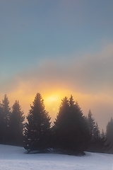 Image showing Mist covered trees in the mountains