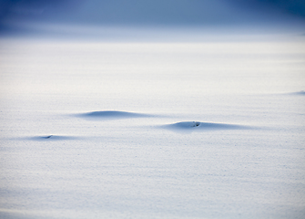 Image showing Smooth snow background