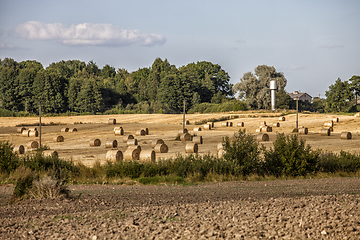 Image showing Farmland with Ray Rolls and Plowed Land