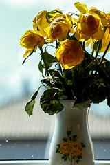 Image showing Yellow roses in vase at the window.
