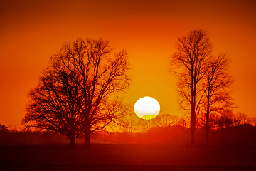 Image showing Red orange light on sunset sky over the trees. 