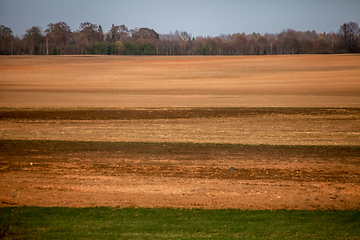 Image showing Plowed field in spring season.