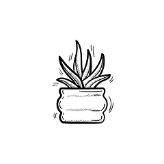 Image showing Sansevieria trifasciata hand drawn sketch icon.