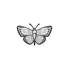 Image showing Butterfly hand drawn sketch icon.