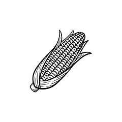 Image showing Popcorn corn cob hand drawn sketch icon.