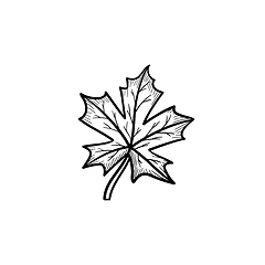 Image showing Maple leaf hand drawn sketch icon.