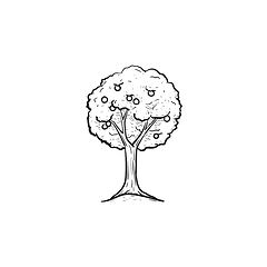 Image showing Fruit tree hand drawn sketch icon.