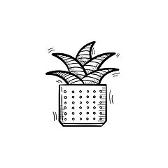 Image showing Mother-in-law tongue plant hand drawn sketch icon.