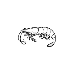 Image showing Shrimp hand drawn sketch icon.