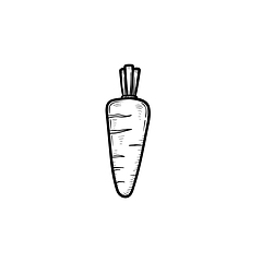 Image showing Carrot hand drawn sketch icon.