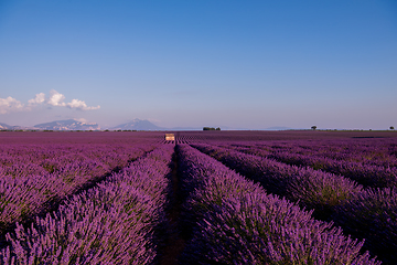 Image showing stone house at lavender field